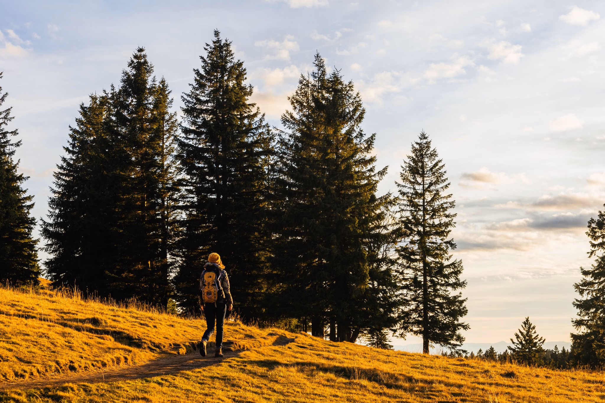 Eine frau wandert am feldberg