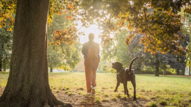 Eine frau geht mit ihrem hund im park spazieren