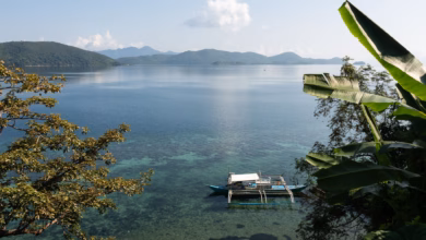 Ausblick von culion