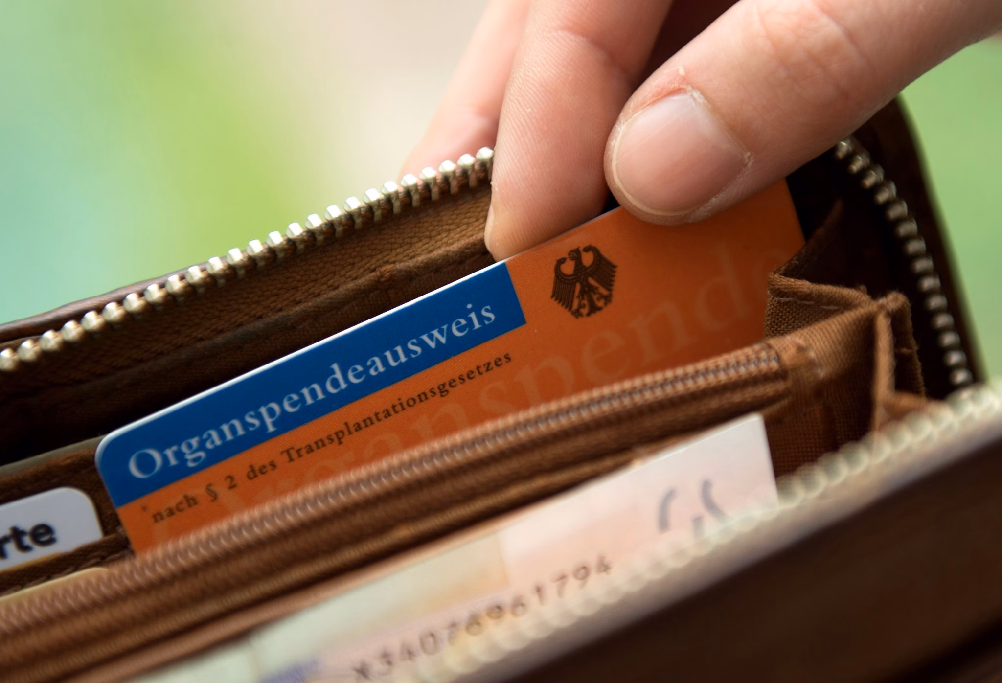 Organspendeausweis in einem geldbeutel
