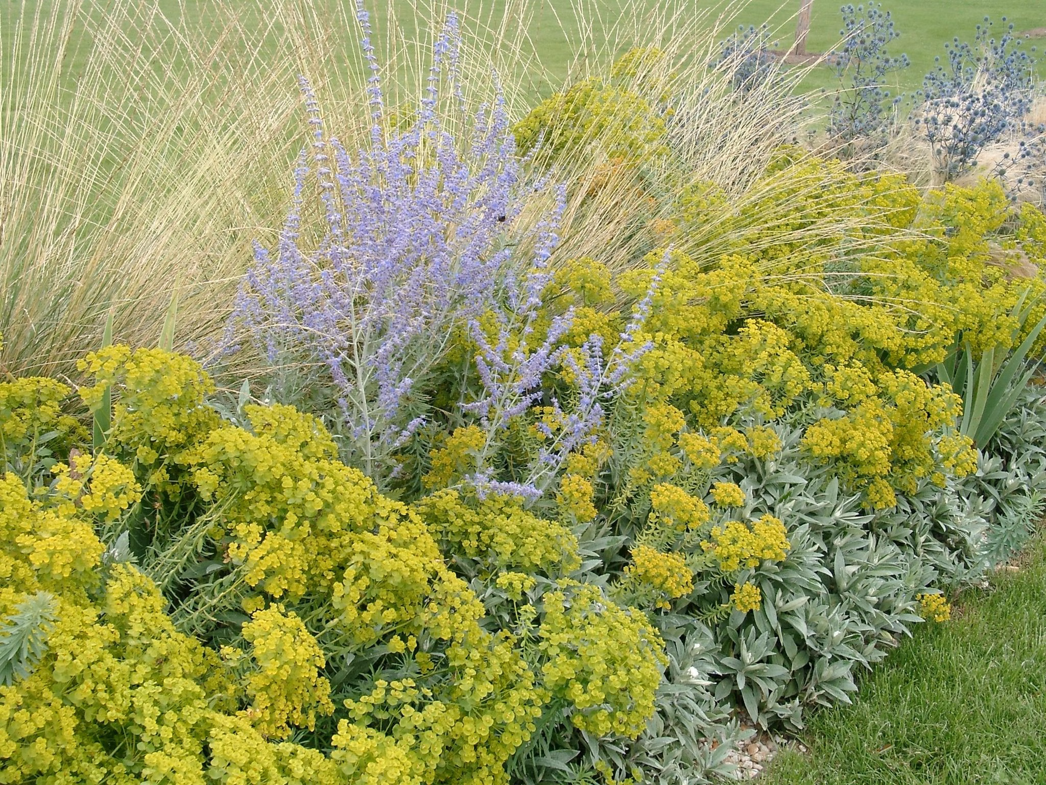 Gartengestaltung mit stauden