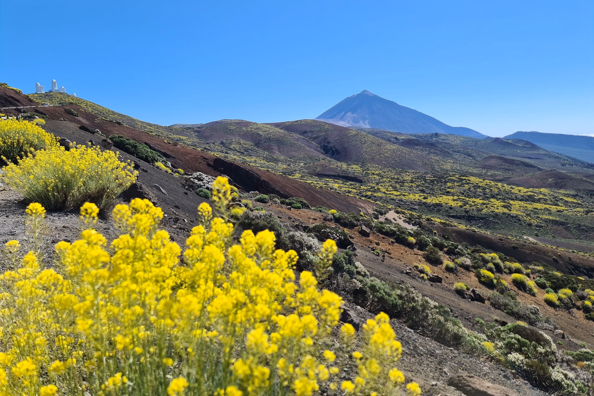 Der teide auf teneriffa