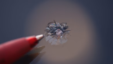 Ein steinschlagschaden in der frontscheibe eines autos