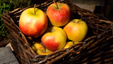 Äpfel liegen in einem korb