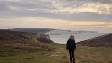 Blick auf die sieben kreidefelsen des seven sisters cliff walk