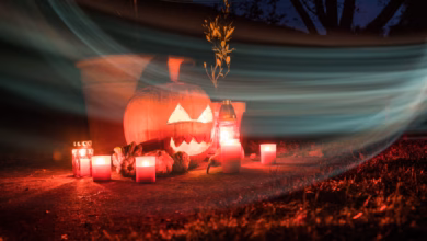 Geschnitzter halloween kürbis steht in einem garten