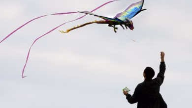 Mann lässt einen drachen steigen