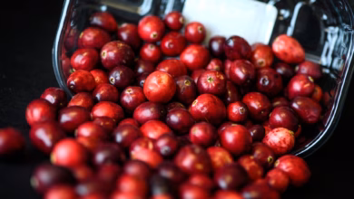 Cranberrys liegen in einer schale