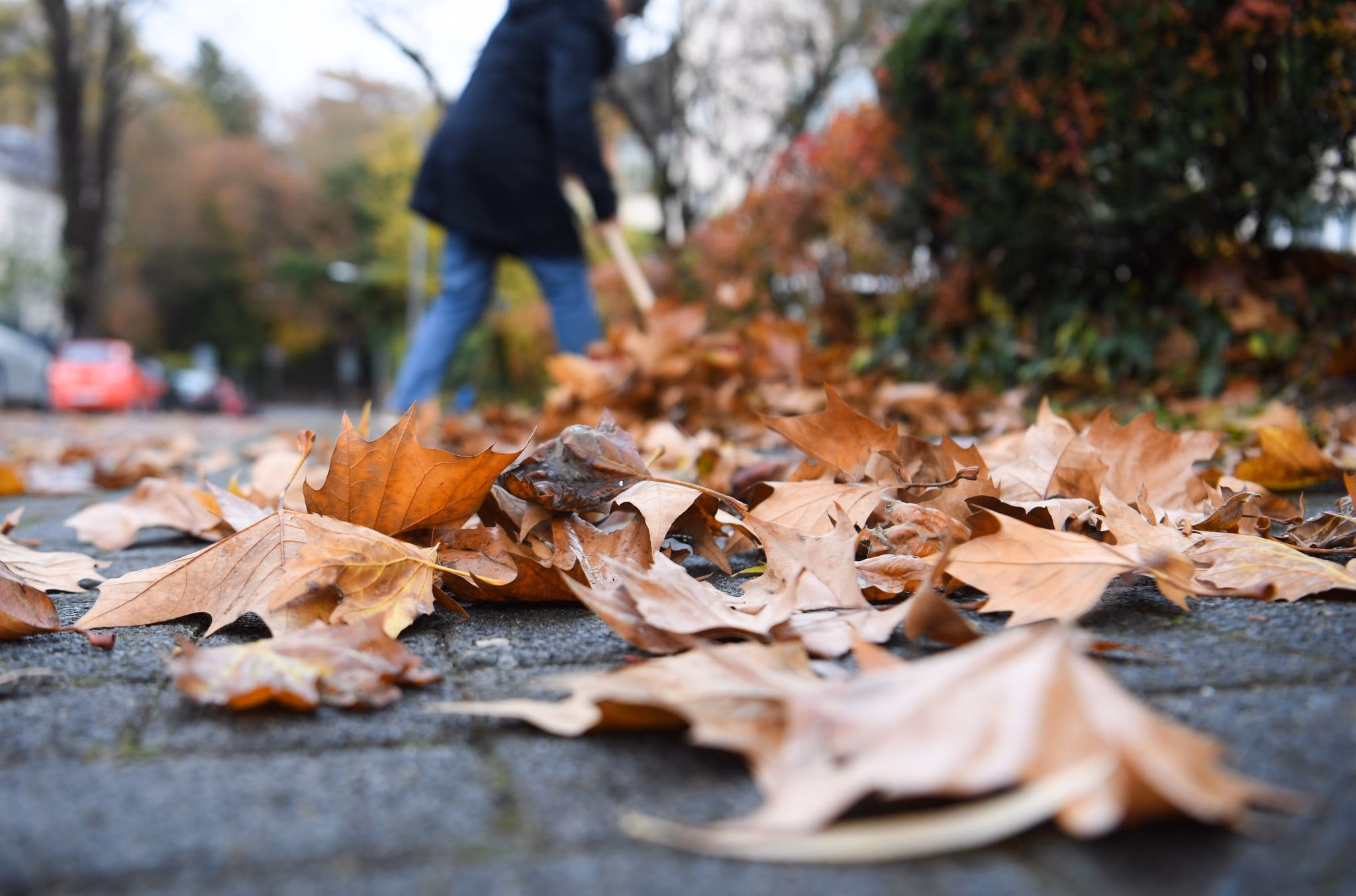 Laub wird von einem gehweg gefegt