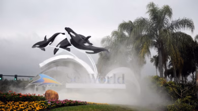 Eingang zum seaworld in florida