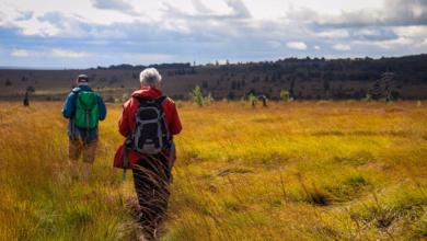 Wanderer im hochmoor