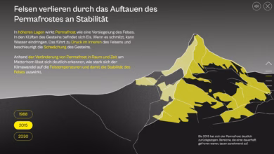 Die web app "bergab"