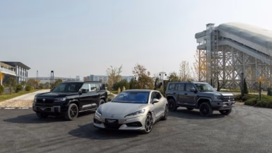 Die neue denza familie aus dem hause byd