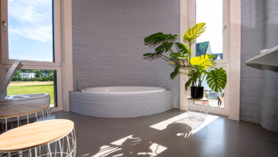 Eine zimmerpflanze im badezimmer