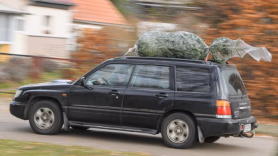 Auto transportiert einen weihnachtsbaum auf dem dach