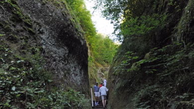 Wanderer gehen durch die marienschlucht am bodensee