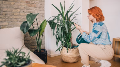 Eine frau pflegt ihre zimmerpflanzen